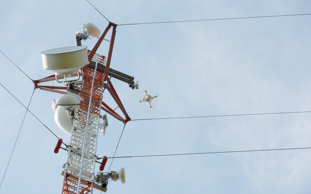 Antenna Inspection